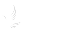 Roraima Logo